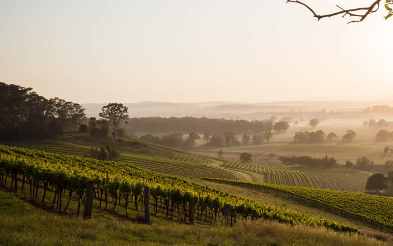 Hunter Valley Northern Rivers Accommodation